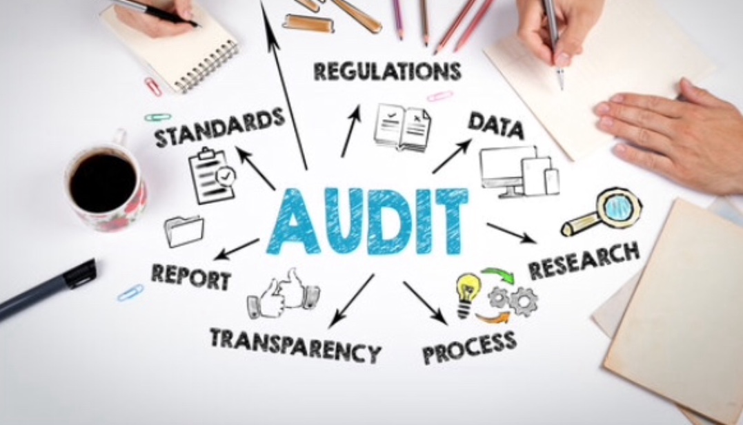 audit formation